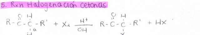 halogenacion cetonas